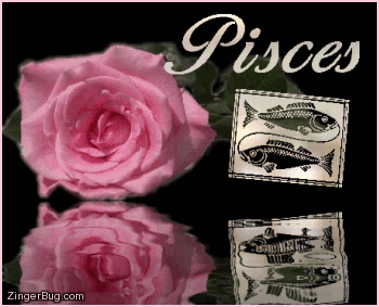 Click to get the codes for this image. This beautiful astrology graphic features a pink rose with animated 3D silver letters reading: Pisces. There is also an animated 3D silver Pisces zodiac symbol. The entire comment is reflected in an animated pool.
