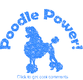 Click to get the codes for this image. Poodle Power Blue Glitter Text, Animals  Dogs Free Image, Glitter Graphic, Greeting or Meme for Facebook, Twitter or any forum or blog.