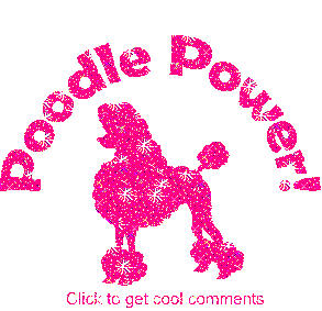 Click to get the codes for this image. Poodle Power Pink Glitter Text, Animals  Dogs Free Image, Glitter Graphic, Greeting or Meme for Facebook, Twitter or any forum or blog.