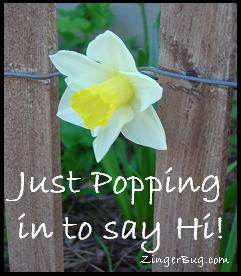 Click to get the codes for this image. Cute photo of a daffodil sticking out through a fence. Comment reads: Just popping in to say Hi!