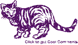 Click to get the codes for this image. Purple Cat Glitter Graphic, Animals  Cats, Animals  Cats Free Image, Glitter Graphic, Greeting or Meme for Facebook, Twitter or any forum or blog.