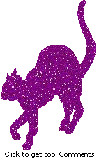 Click to get the codes for this image. Purple Glitter Cat, Animals  Cats, Animals  Cats Free Image, Glitter Graphic, Greeting or Meme for Facebook, Twitter or any forum or blog.