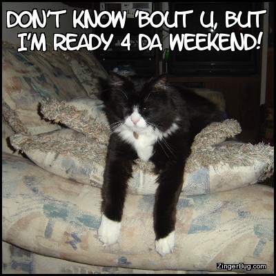 Click to get the codes for this image. Ready 4 Da Weekend Kilroy Cat, Animals  Cats, Funny Stuff  Jokes, Happy Friday Free Image, Glitter Graphic, Greeting or Meme for Facebook, Twitter or any forum or blog.