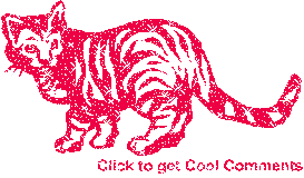Click to get the codes for this image. Red Cat Glitter Graphic, Animals  Cats, Animals  Cats Free Image, Glitter Graphic, Greeting or Meme for Facebook, Twitter or any forum or blog.