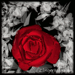 Click to get the codes for this image. Red Glitter Rose On Black And White, Flowers, Flowers Free Image, Glitter Graphic, Greeting or Meme for Facebook, Twitter or any blog.