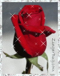 Click to get the codes for this image. Red Rose Glitter Graphic, Flowers, Flowers Free Image, Glitter Graphic, Greeting or Meme for Facebook, Twitter or any blog.