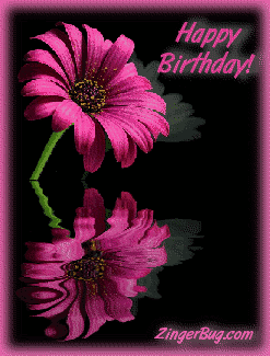 Click to get the codes for this image. This comment shows a beautiful pink flower with reflections in an animated pool. The comment reads: Happy Birthday!