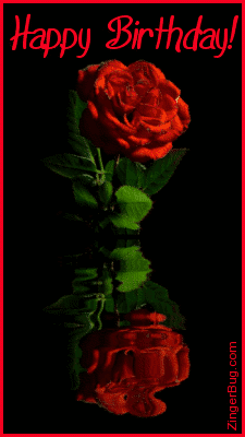 Click to get the codes for this image. This beautiful graphic shows a red rose with reflections in an animated pool. The comment reads: Happy Birthday!