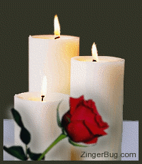 Click to get the codes for this image. Beautiful animated candles with burning flames with a single red rose in front of them.
