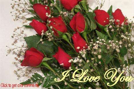 Click to get the codes for this image. Roses Photo, Love and Romance, Flowers Free Image, Glitter Graphic, Greeting or Meme for Facebook, Twitter or any blog.
