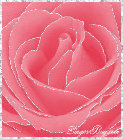 Click to get the codes for this image. This beautiful glitter graphic shows a close-up of a salmon pink rose with silver glitter on the tips of each petal.