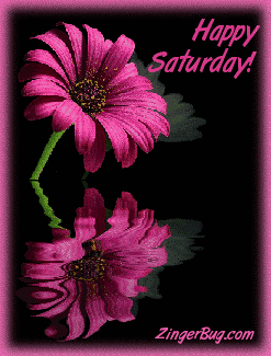 Click to get the codes for this image. This beautiful graphic shows a pink flower reflected in an animated pool. The comment reads: Happy Saturday!
