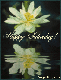 Click to get the codes for this image. This beautiful graphic shows a yellow flower reflected in an animated pool. The comment reads: Happy Saturday!
