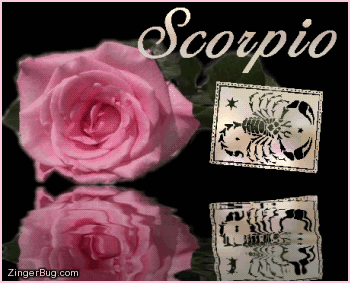 Click to get the codes for this image. This beautiful astrology graphic features a pink rose with animated 3D silver letters reading: Scorpio. There is also an animated 3D silver Scorpio zodiac symbol. The entire comment is reflected in an animated pool.