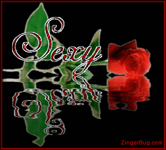 Click to get the codes for this image. This beautiful glitter graphic shows a single long-stemmed red rose reflected in an animated pool. The comment reads: Sexy
