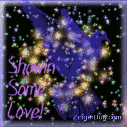Click to get the codes for this image. This pretty glitter graphic shows a transparent blue bird in front of a sky of twinkling stars. The comment reads: Showin' Some Love!
