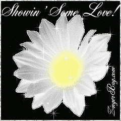 Click to get the codes for this image. This beautiful glitter graphic is a white daisy with silver glitter around the tips of the petals. The comment reads: Showin' Some Love!