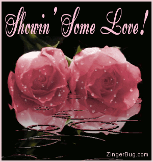 Click to get the codes for this image. This beautiful graphic shows two pink roses covered with raindrops while more rain falls in an animated pool. The comment reads: Showin' Some Love!