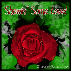 Click to get the codes for this image. Showin Love Red Rose Glitter Graphic, Showin Some Love, Flowers Free Image, Glitter Graphic, Greeting or Meme for Facebook, Twitter or any blog.