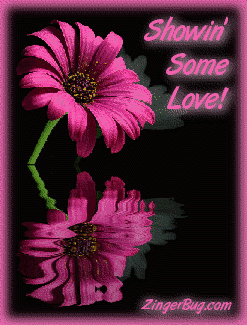 Click to get the codes for this image. This graphic features a pink flower reflected in an animated pool. The comment reads: Showin' Some Love!
