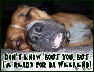Click to get the codes for this image. This cute photo shows a dog sacked out asleep. The comment reads: Don't know 'bout you, but I'm ready for da weekend!
