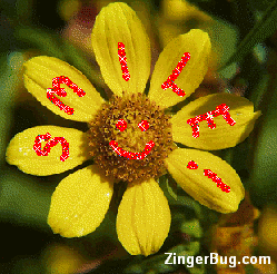 Click to get the codes for this image. Smile Flower Glitter Graphic, Smile, Flowers, Smiley Faces Free Image, Glitter Graphic, Greeting or Meme for Facebook, Twitter or any blog.