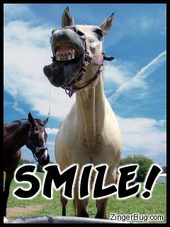 Click to get the codes for this image. This funny photo shows a silly horse bearing its teeth to the camera. The comment reads: Smile!