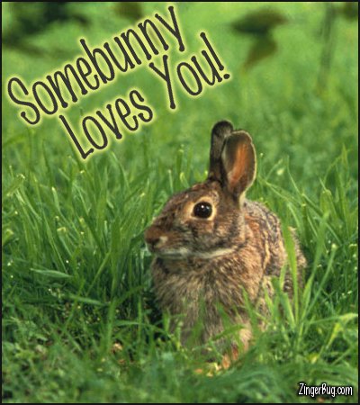 Click to get the codes for this image. Somebunny Loves You Cottontail Rabbit Photo, Animals  Bunnies  Rabbits, I Love You Free Image, Glitter Graphic, Greeting or Meme for Facebook, Twitter or any forum or blog.