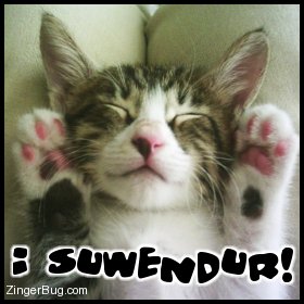 Click to get the codes for this image. This cute photo shows a close up of a kitten lying on it's back with it's front paws up. The comment reads: I suwendur!