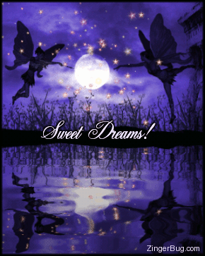 Click to get the codes for this image. This beautiful graphic shows two fairies in the night sky pointing fairy dust at a glowing moon. The whole scene is reflected in an animated pool. The comment reads: Sweet Dreams!