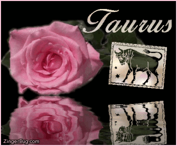 Click to get the codes for this image. This beautiful astrology graphic features a pink rose with animated 3D silver letters reading: Taurus. There is also an animated 3D silver Taurus zodiac symbol. The entire comment is reflected in an animated pool.