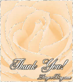 Click to get the codes for this image. This beautiful glitter graphic shows a close-up of a peach colored rose with silver glitter on the tips of each petal. The comment reads: Thank You!