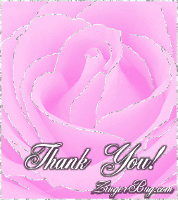 Click to get the codes for this image. This beautiful glitter graphic shows a close-up of a pink rose with silver glitter on the tips of each petal. The comment reads: Thank You!