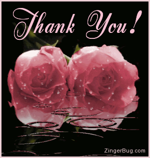 Click to get the codes for this image. This beautiful graphic shows two pink roses covered with raindrops while more rain falls in an animated pool. The comment reads: Thank You!