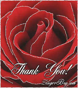 Click to get the codes for this image. This beautiful glitter graphic shows a close-up of a red rose with silver glitter on the tips of each petal. The comment reads: Thank You!