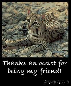 Click to get the codes for this image. Funny play on words. Photo of an ocelot, comment reads:Thanks an ocelot (an aweful lot) for being my friend!
