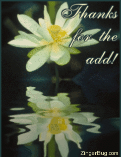 Click to get the codes for this image. This comment shows a beautiful yellow flower with reflections in an animated pool. The comment reads: Thanks for the add!