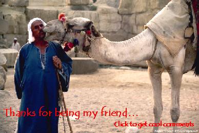 Click to get the codes for this image. Thanks For Being A Friend Camel, Thanks For The Add, Friendship, Animals  Horses  Hooved Creatures Free Image, Glitter Graphic, Greeting or Meme for Facebook, Twitter or any forum or blog.