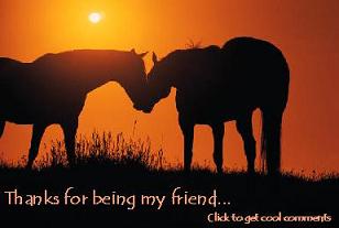 Click to get the codes for this image. Thanks For Being My Friend Horses Small, Thanks For The Add, Friendship, Animals  Horses  Hooved Creatures Free Image, Glitter Graphic, Greeting or Meme for Facebook, Twitter or any forum or blog.