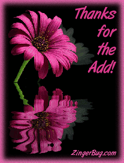 Click to get the codes for this image. This graphic features a pink flower reflected in an animated pool. The comment reads: Thanks for the Add!