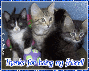Click to get the codes for this image. Thanks For Being My Friend Kittens, Animals  Cats, Friendship Free Image, Glitter Graphic, Greeting or Meme for Facebook, Twitter or any forum or blog.