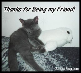 Click to get the codes for this image. Cue photo of a kitten hugging a stuffed animal. Comment reads: Thanks for being my friend!