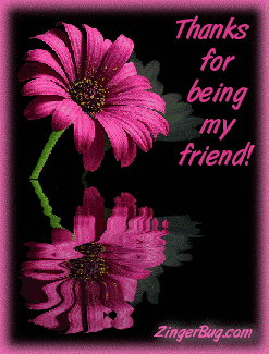Click to get the codes for this image. This graphic features a pink flower reflected in an animated pool. The comment reads: Thanks for being my friend!