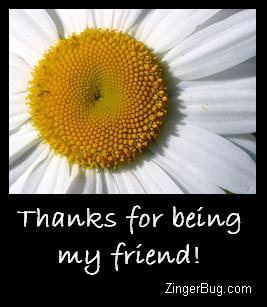Click to get the codes for this image. Thanks For Being My Friend White Daisy, Friendship, Flowers, Friendship Day Free Image, Glitter Graphic, Greeting or Meme for Facebook, Twitter or any forum or blog.