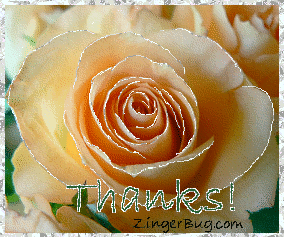 Click to get the codes for this image. This beautiful glitter graphic shows a close-up of a peach colored rose with silver glitter on the tips of each petal. The comment reads: Thanks!