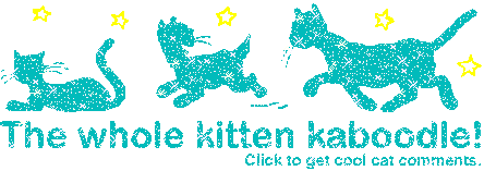 Click to get the codes for this image. The While Kitten Kaboodle Teal Glitter Graphic, Animals  Cats Free Image, Glitter Graphic, Greeting or Meme for Facebook, Twitter or any forum or blog.