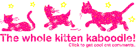 Click to get the codes for this image. The Whole Kitten Kaboodle Pink Glitter Graphic, Animals  Cats Free Image, Glitter Graphic, Greeting or Meme for Facebook, Twitter or any forum or blog.