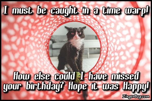 Click to get the codes for this image. Time Warp Kitty Missed Your Birthday, Happy Birthday, Happy Birthday, Belated Birthday Free Image, Glitter Graphic, Greeting or Meme for Facebook, Twitter or any forum or blog.