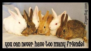 Click to get the codes for this image. Too Many Friends Bunnies, Animals  Bunnies  Rabbits, Friendship Free Image, Glitter Graphic, Greeting or Meme for Facebook, Twitter or any forum or blog.