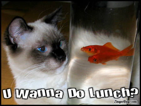 Click to get the codes for this image. Wanna Do Lunch Funny Cat With Goldfish, Animals  Fish Dolphins Whales, Animals  Cats, Funny Stuff  Jokes Free Image, Glitter Graphic, Greeting or Meme for Facebook, Twitter or any forum or blog.